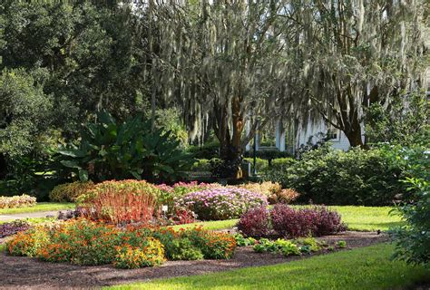 Leu gardens - Leu Gardens is owned and operated by the City of Orlando, which says the venue has more than 265,000 visitors annually. It hosts educational classes, workshops, tours and weddings as well as ...